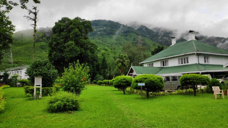 3. Tumsong Chiabari. Image courtesy Chiabari Retreat 5ee8c6be4a580 768x432