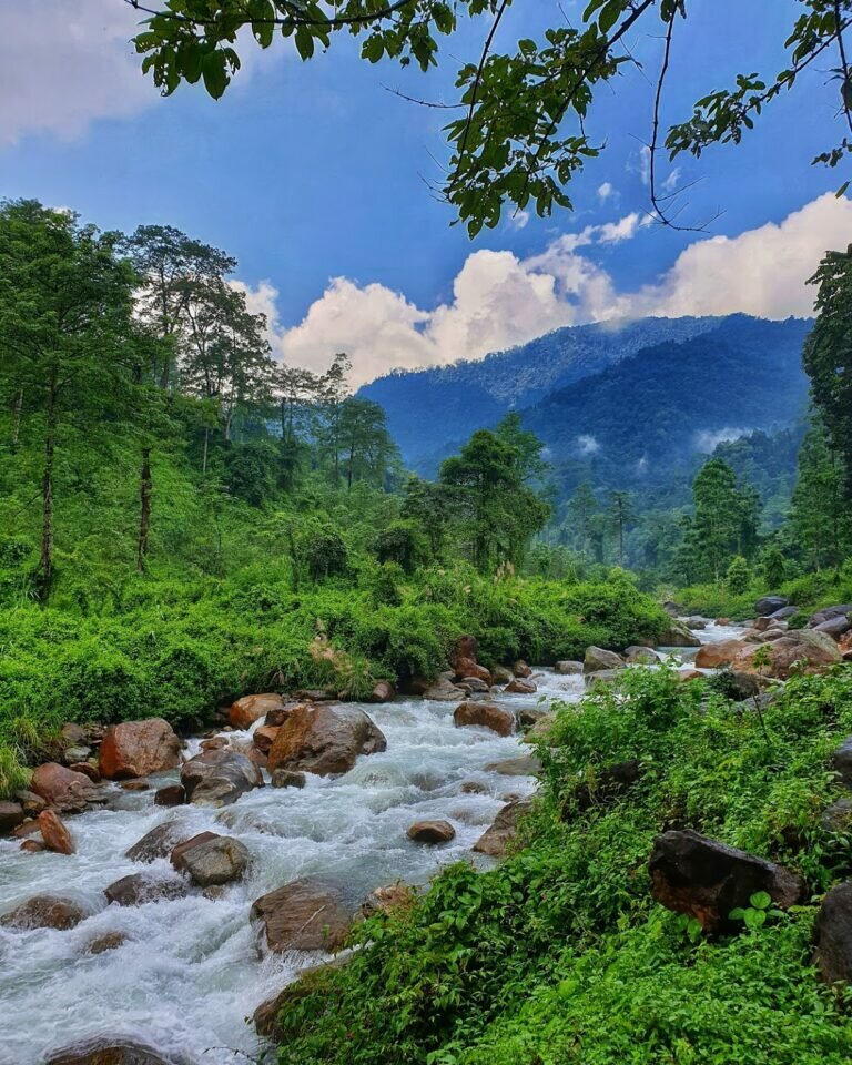 Jhalong 1 768x960