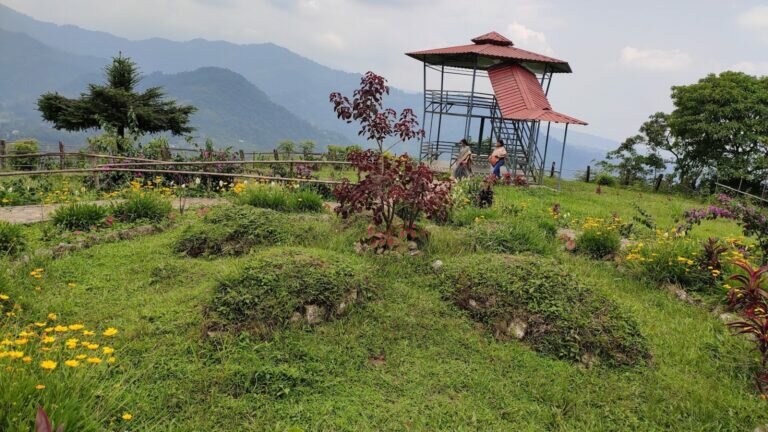 Jhalong 6 768x432